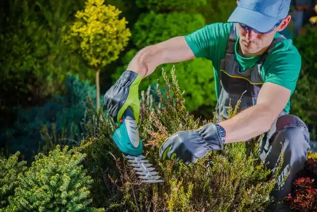 landscaping services Yorktown Heights